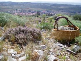 photo coins arrondis